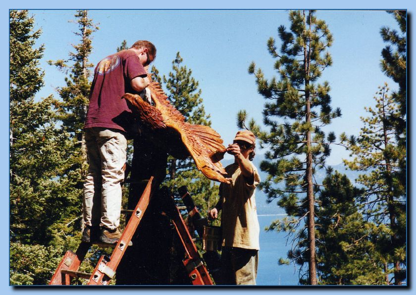 2-03 eagle with wings out, attached -archive-0016